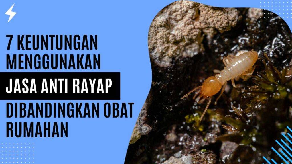 7 Keuntungan Menggunakan Jasa Anti Rayap Dibandingkan Obat Rumahan