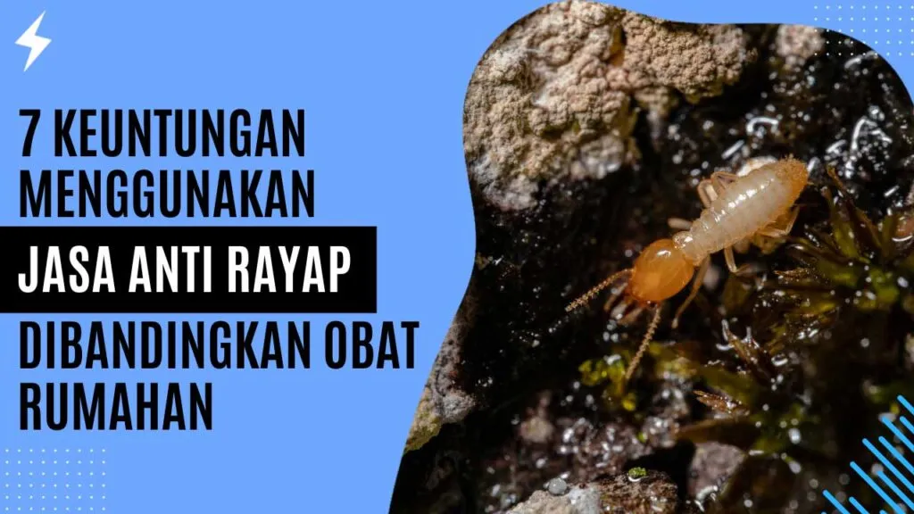 7 Keuntungan Menggunakan Jasa Anti Rayap Dibandingkan Obat Rumahan 7 Keuntungan Menggunakan Jasa Anti Rayap Dibandingkan Obat Rumahan
