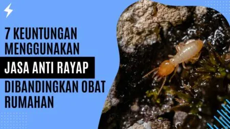 7 Keuntungan Menggunakan Jasa Anti Rayap Dibandingkan Obat Rumahan